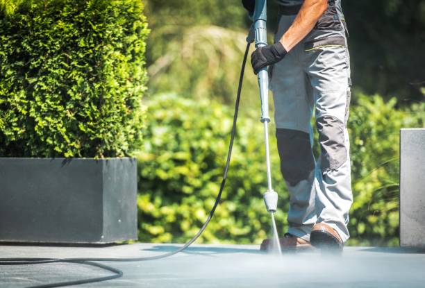 Best Boat and Dock Cleaning  in Taylor Creek, FL